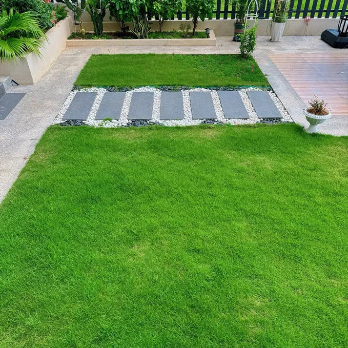 🌱 four seasons evergreen grass seeds for beautiful grass – buy 1 get 1 free🌱