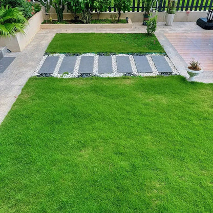 🌱 Four Seasons Evergreen Grass Seeds for Beautiful Grass – BUY 1 GET 1 FREE🌱