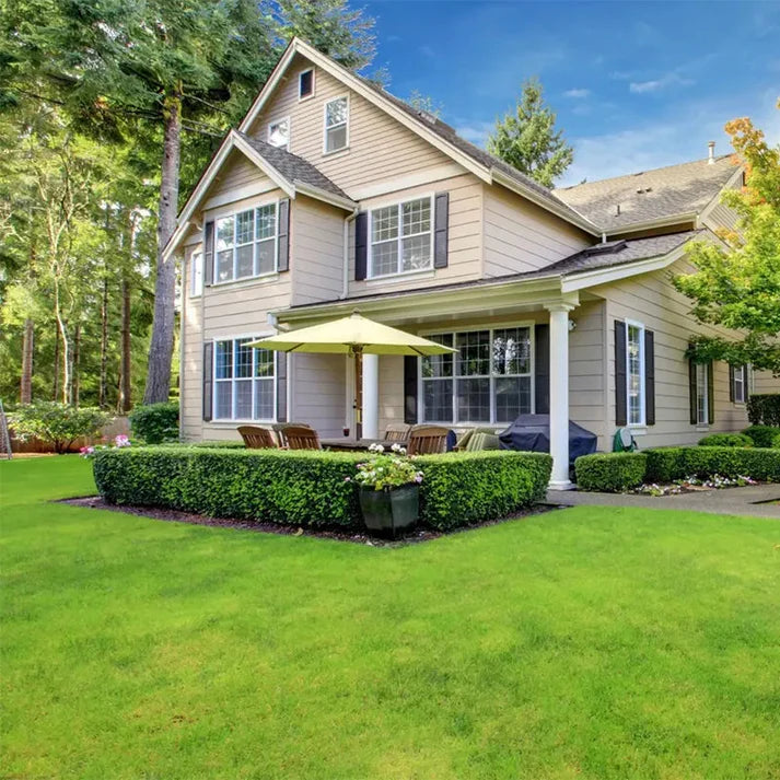 🌱 four seasons evergreen grass seeds for beautiful grass – buy 1 get 1 free🌱