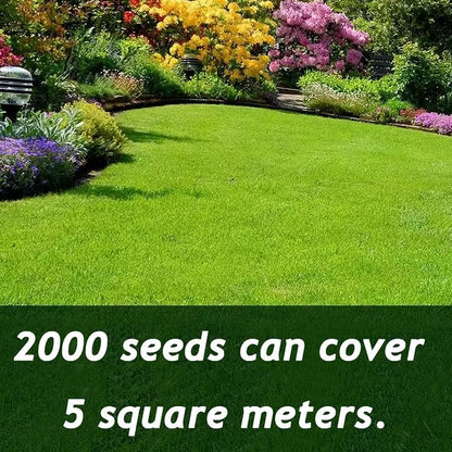 🌱 Four Seasons Evergreen Grass Seeds for Beautiful Grass – BUY 1 GET 1 FREE🌱