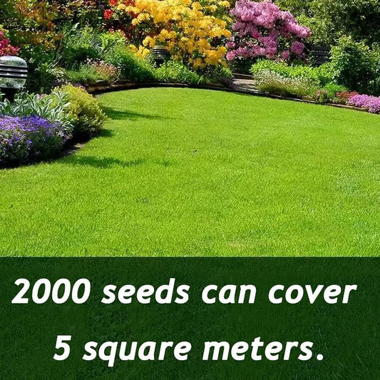 🌱 Four Seasons Evergreen Grass Seeds for Beautiful Grass – BUY 1 GET 1 FREE🌱