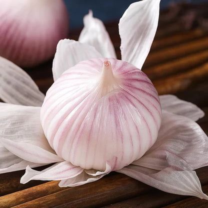🧄Single Clove Garlic: Bold Flavor, Healthy Choice! + Plant Growth Serum Free