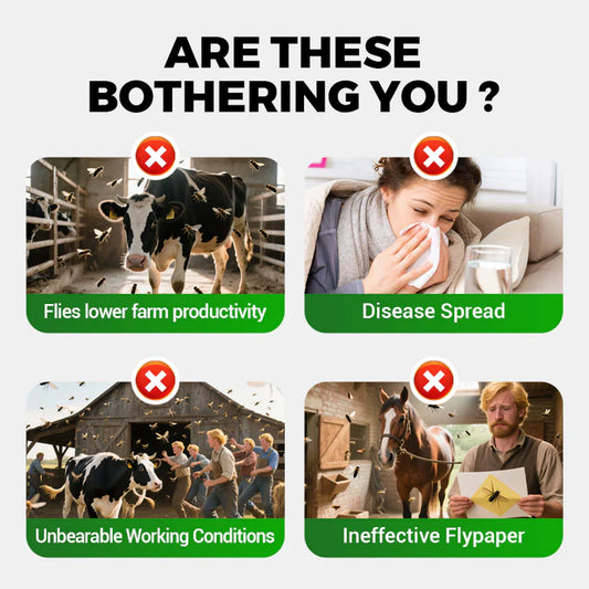 💥Universal High-Efficiency & Safe Fly Control Agent💥🔥BUY 1 GET 1 FREE! 🔥