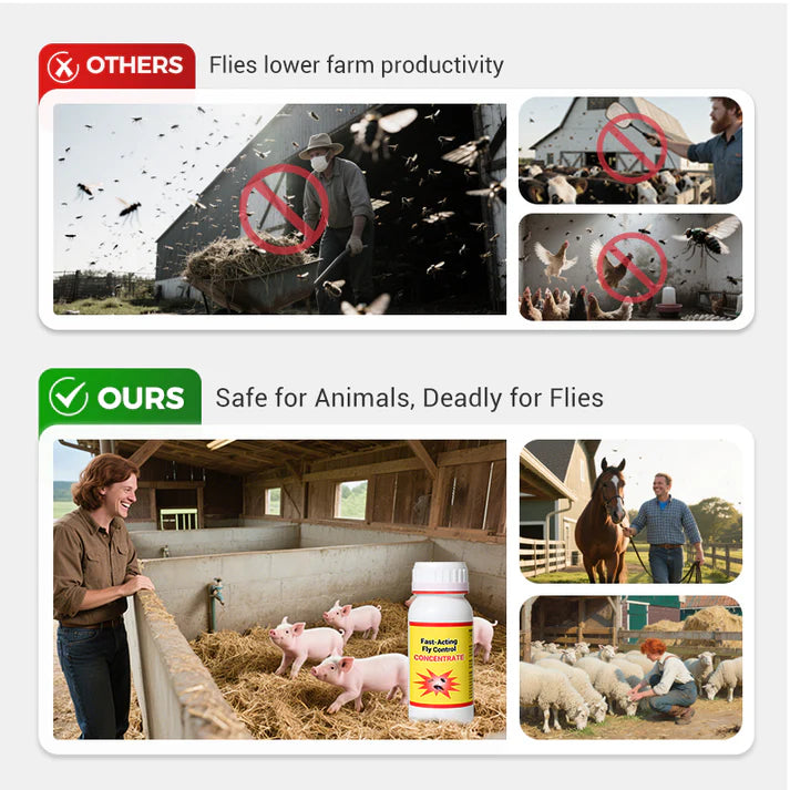 💥universal high-efficiency & safe fly control agent💥🔥buy 1 get 1 free! 🔥