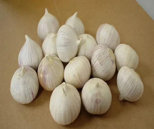 🧄single clove garlic: bold flavor, healthy choice! + plant growth serum free