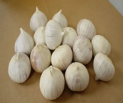 🧄Single Clove Garlic: Bold Flavor, Healthy Choice! + Plant Growth Serum Free