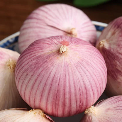 🧄Single Clove Garlic: Bold Flavor, Healthy Choice! + Plant Growth Serum Free