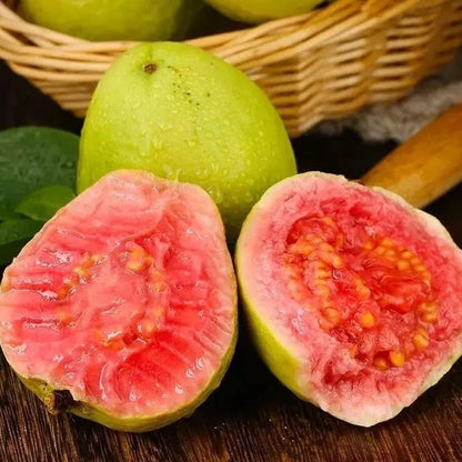 🎁Last Day Promotion 49% OFF🔥🌱Strawberry Guava Seeds🍐