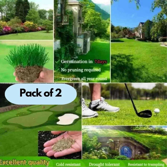 🌱 Four Seasons Evergreen Grass Seeds for Beautiful Grass – BUY 1 GET 1 FREE🌱