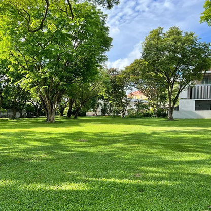 🌱 Four Seasons Evergreen Grass Seeds for Beautiful Grass – BUY 1 GET 1 FREE🌱