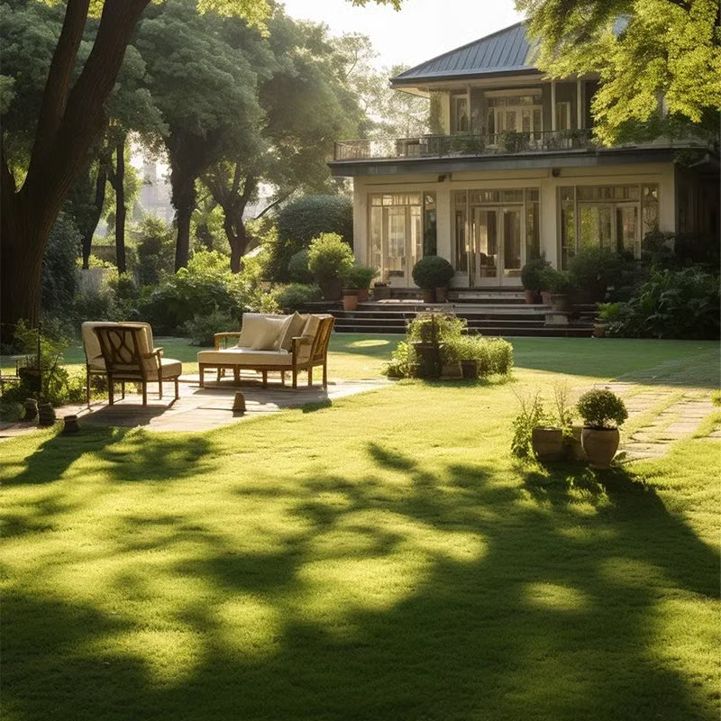 🌱 four seasons evergreen grass seeds for beautiful grass – buy 1 get 1 free🌱