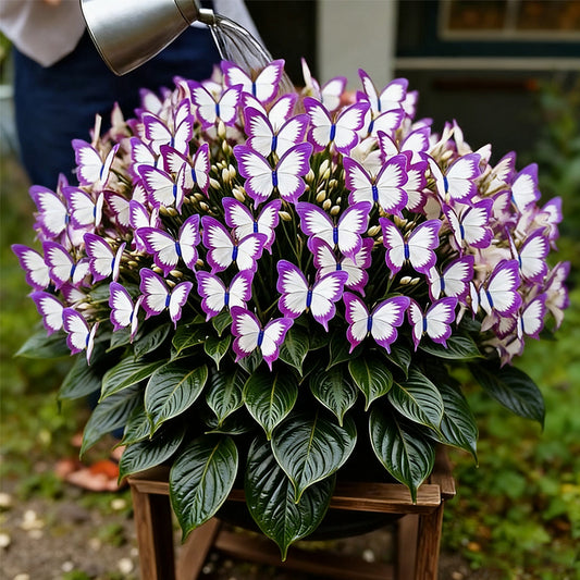 ✨EASY-TO-GROW SEEDS — BUTTERFLY BLOOMS FOR A LIVING GARDEN + 100 grams Organic Pot mix Free