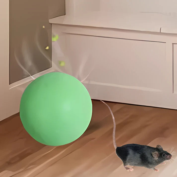 🔥hot sale 50% off🔥💥powerful rodent & insect repellent pills💥