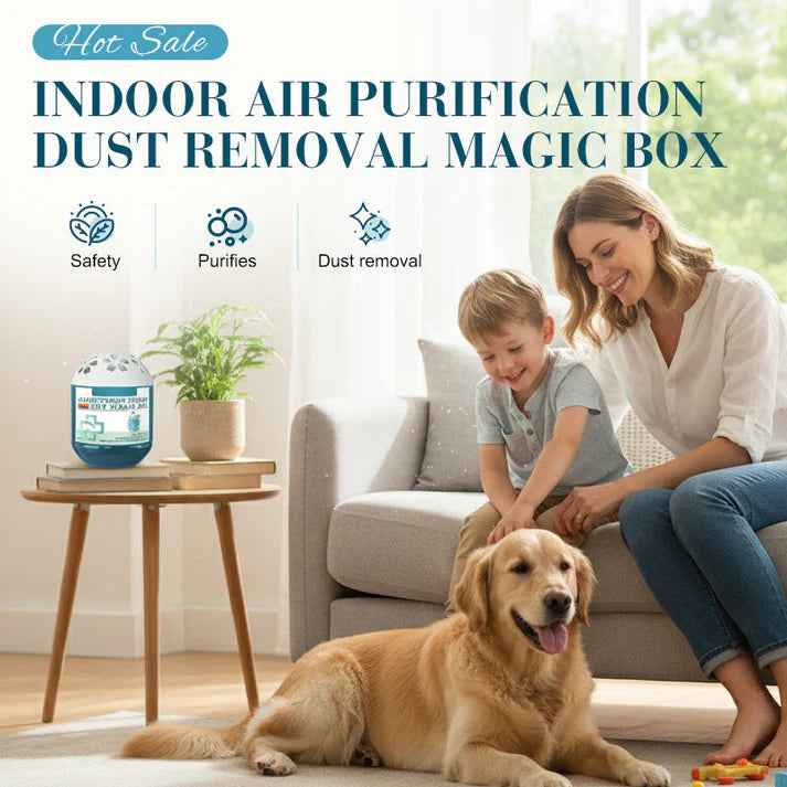🔥2026 new collection⏰indoor air purification dust removal magic box🏠bringing health to the family.👵👶